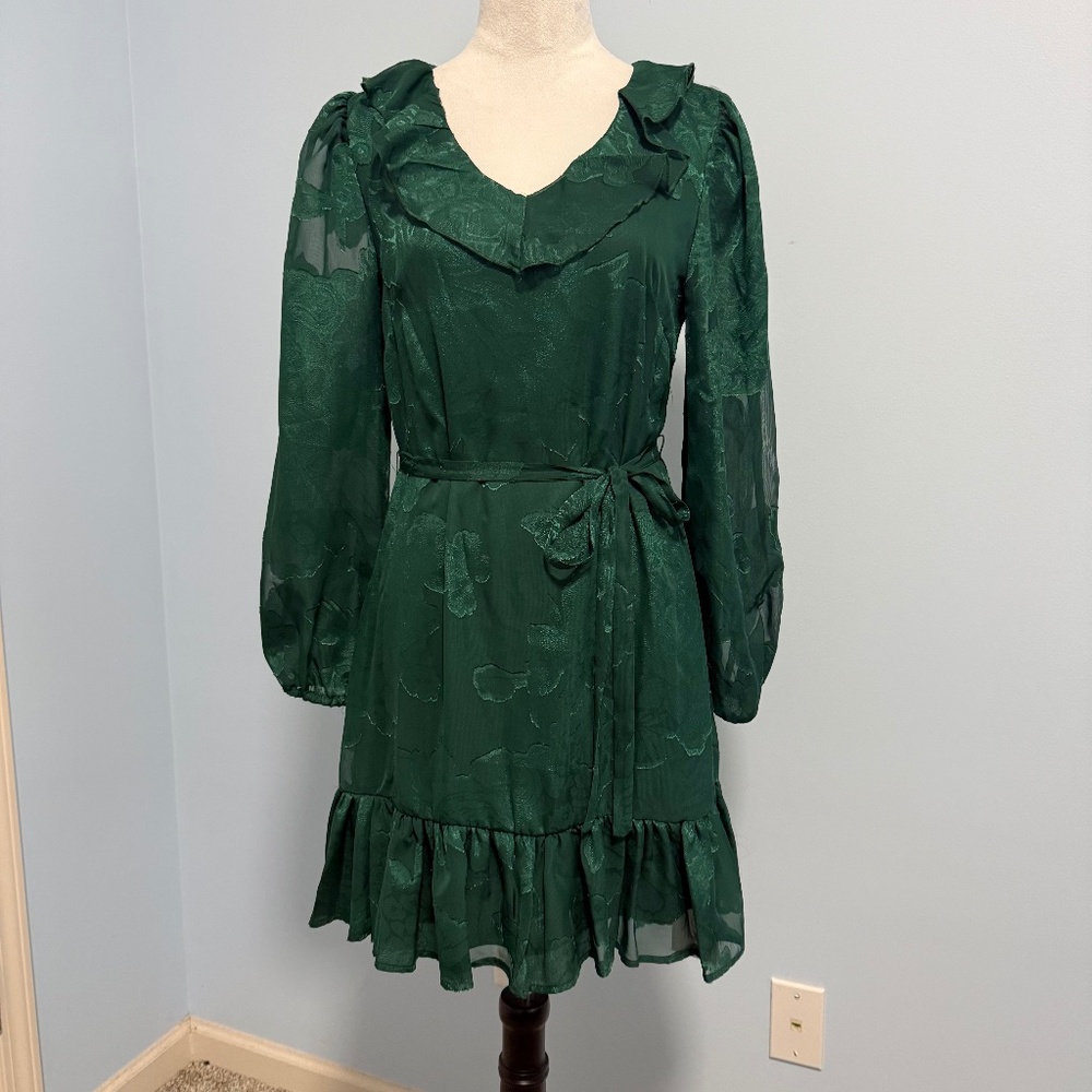 Joie Women’s Long Sleeve Chiffon Lined Green Dress Size S